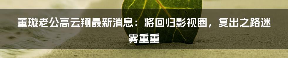 董璇老公高云翔最新消息：将回归影视圈，复出之路迷雾重重