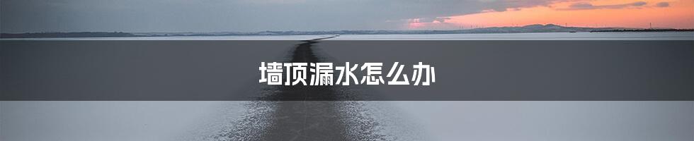 墙顶漏水怎么办