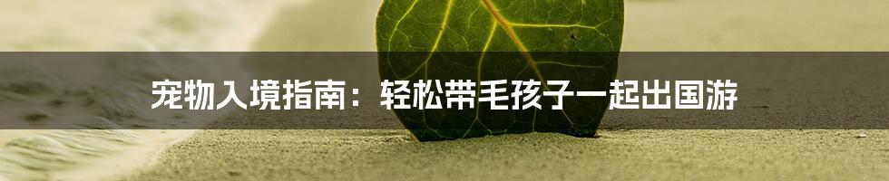 宠物入境指南：轻松带毛孩子一起出国游