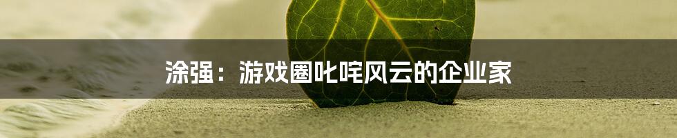 涂强：游戏圈叱咤风云的企业家