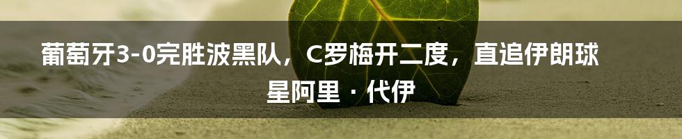 葡萄牙3-0完胜波黑队，C罗梅开二度，直追伊朗球星阿里·代伊