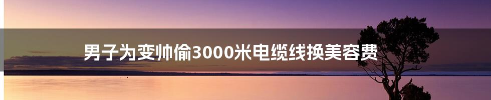 男子为变帅偷3000米电缆线换美容费