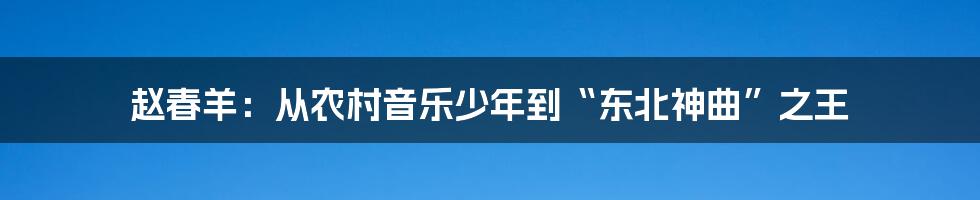 赵春羊：从农村音乐少年到“东北神曲”之王