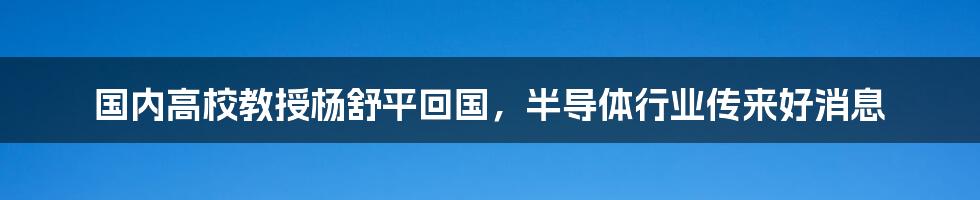 国内高校教授杨舒平回国，半导体行业传来好消息