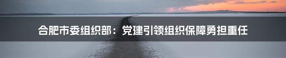 合肥市委组织部：党建引领组织保障勇担重任