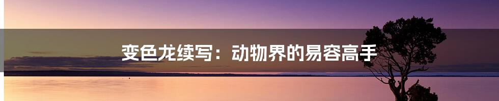 变色龙续写：动物界的易容高手