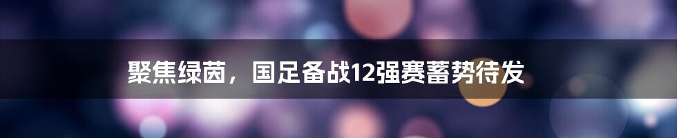 聚焦绿茵，国足备战12强赛蓄势待发