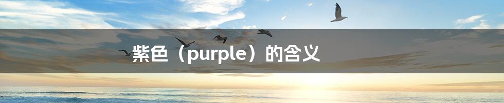 紫色（purple）的含义