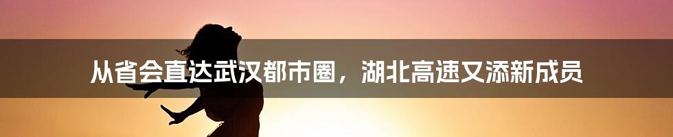 从省会直达武汉都市圈，湖北高速又添新成员