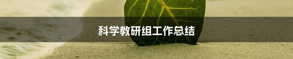 科学教研组工作总结