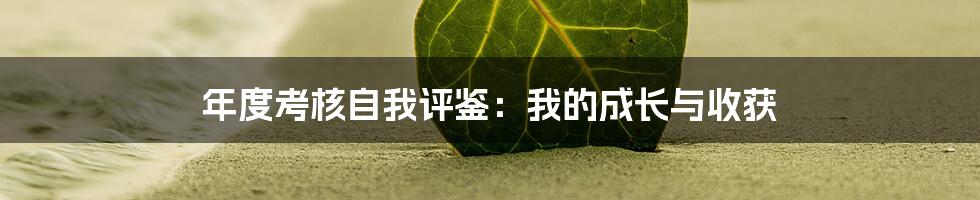 年度考核自我评鉴：我的成长与收获