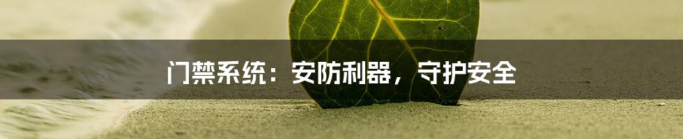 门禁系统：安防利器，守护安全