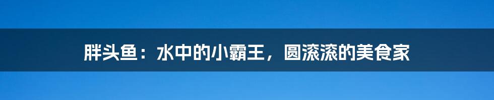 胖头鱼：水中的小霸王，圆滚滚的美食家