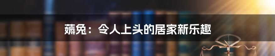 薅兔：令人上头的居家新乐趣