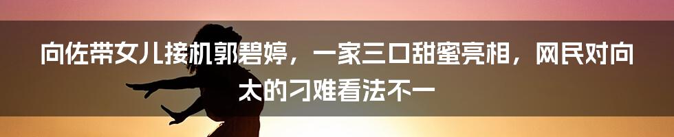 向佐带女儿接机郭碧婷，一家三口甜蜜亮相，网民对向太的刁难看法不一