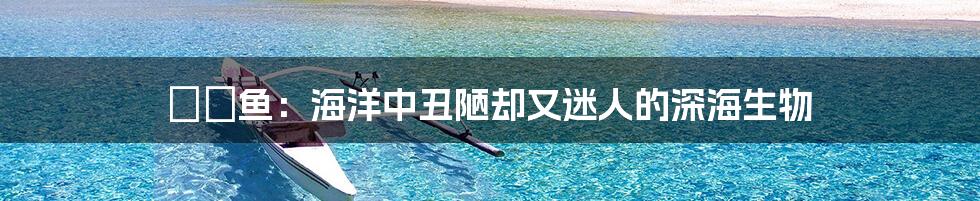 鮟鱇鱼：海洋中丑陋却又迷人的深海生物