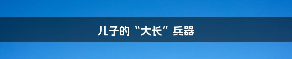 儿子的“大长”兵器