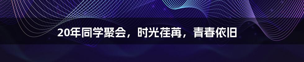 20年同学聚会，时光荏苒，青春依旧