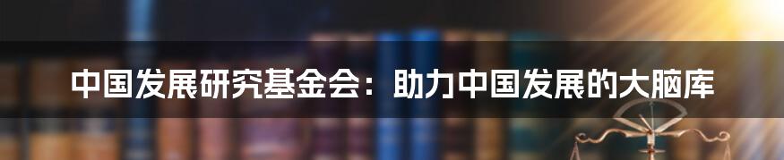 中国发展研究基金会：助力中国发展的大脑库