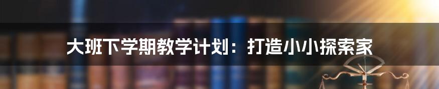 大班下学期教学计划：打造小小探索家