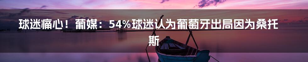 球迷痛心！葡媒：54%球迷认为葡萄牙出局因为桑托斯