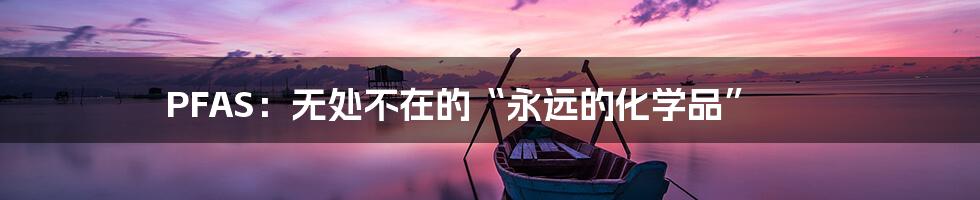 PFAS：无处不在的“永远的化学品”