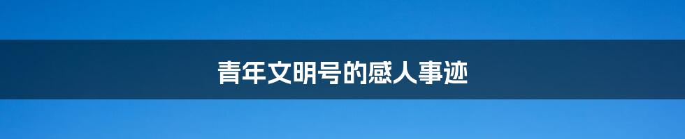 青年文明号的感人事迹