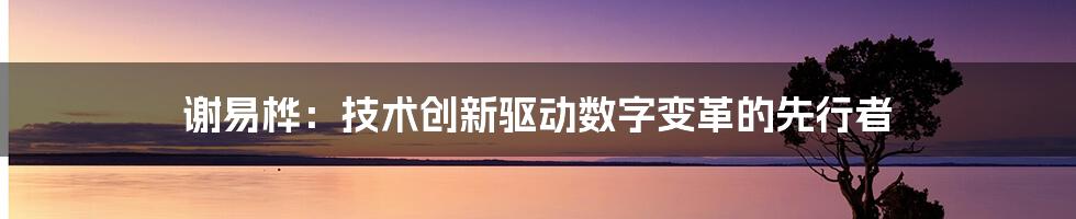 谢易桦：技术创新驱动数字变革的先行者