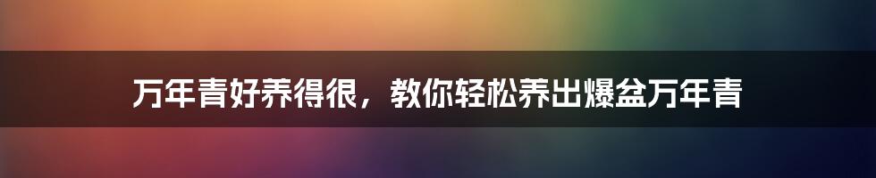 万年青好养得很，教你轻松养出爆盆万年青