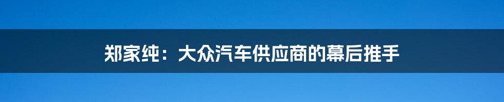 郑家纯：大众汽车供应商的幕后推手