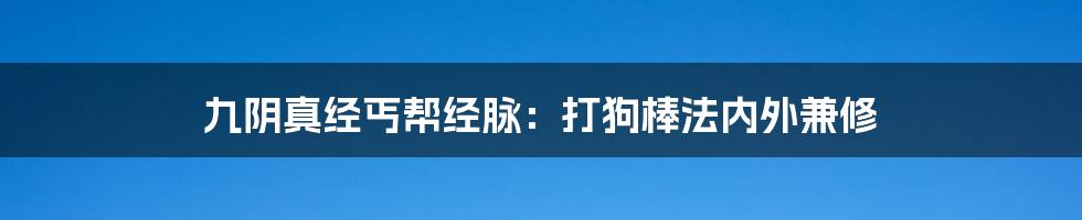 九阴真经丐帮经脉：打狗棒法内外兼修