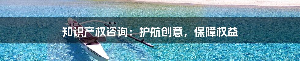 知识产权咨询：护航创意，保障权益