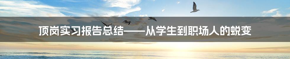 顶岗实习报告总结——从学生到职场人的蜕变