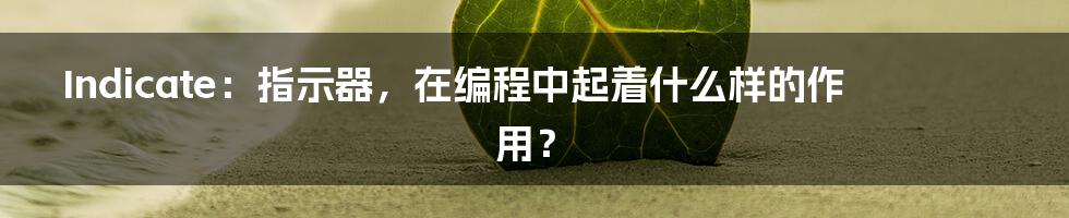 Indicate：指示器，在编程中起着什么样的作用？