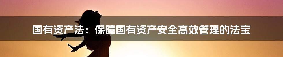 国有资产法：保障国有资产安全高效管理的法宝