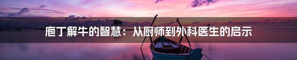 庖丁解牛的智慧：从厨师到外科医生的启示