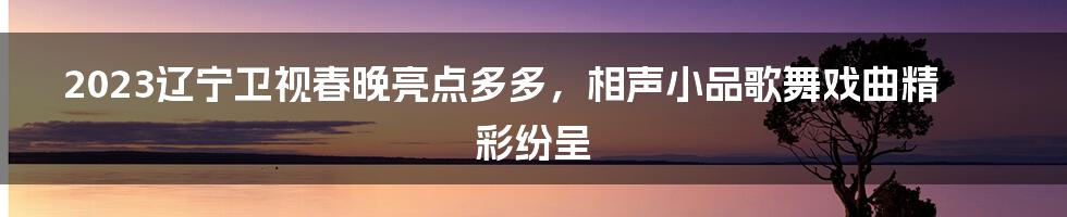 2023辽宁卫视春晚亮点多多，相声小品歌舞戏曲精彩纷呈