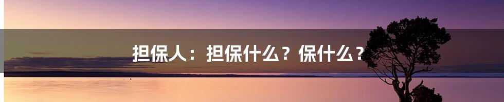 担保人：担保什么？保什么？