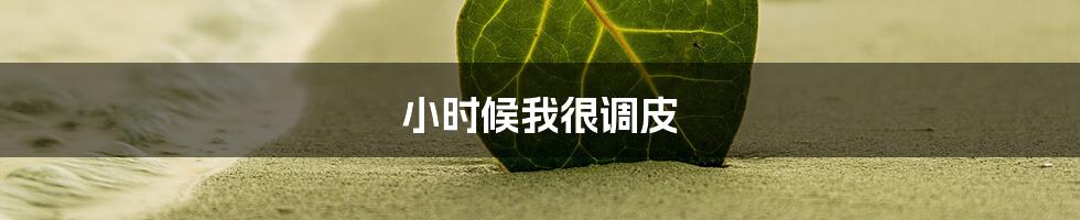 小时候我很调皮