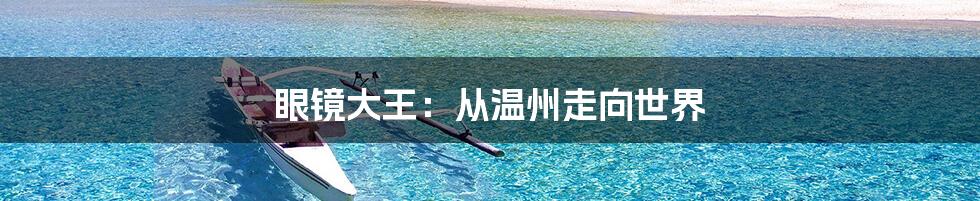 眼镜大王：从温州走向世界