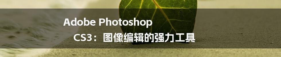 Adobe Photoshop CS3：图像编辑的强力工具