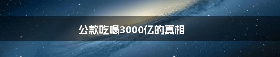 公款吃喝3000亿的真相