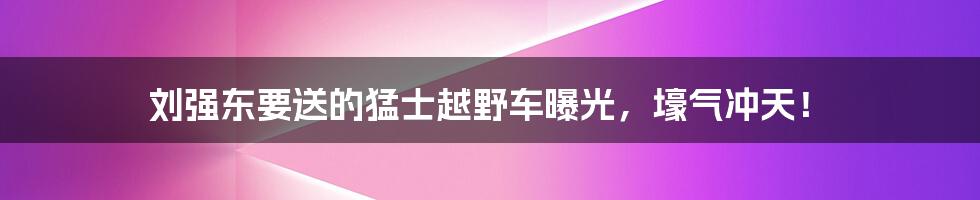 刘强东要送的猛士越野车曝光，壕气冲天！