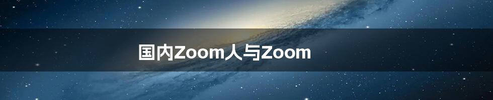 国内Zoom人与Zoom