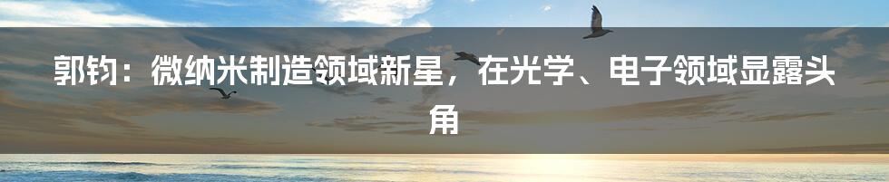 郭钧：微纳米制造领域新星，在光学、电子领域显露头角