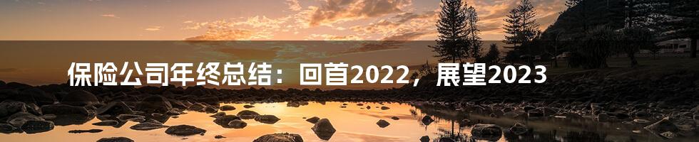 保险公司年终总结：回首2022，展望2023