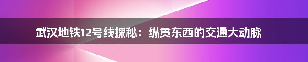 武汉地铁12号线探秘：纵贯东西的交通大动脉