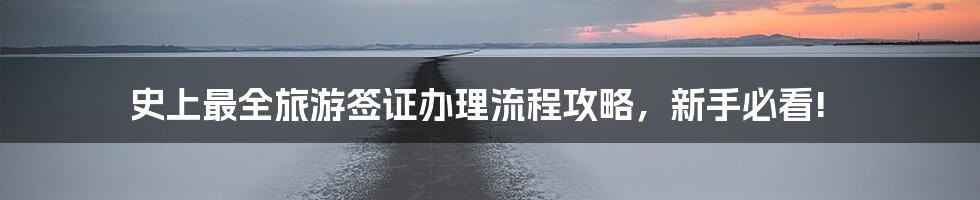 史上最全旅游签证办理流程攻略，新手必看!