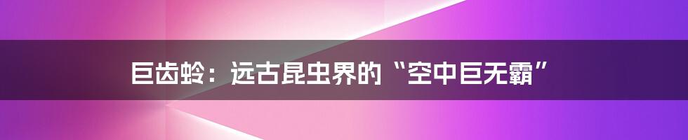 巨齿蛉：远古昆虫界的“空中巨无霸”