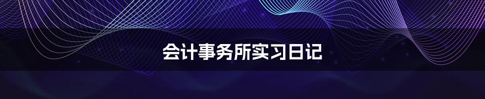 会计事务所实习日记